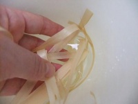 Curling Kyogi Paper