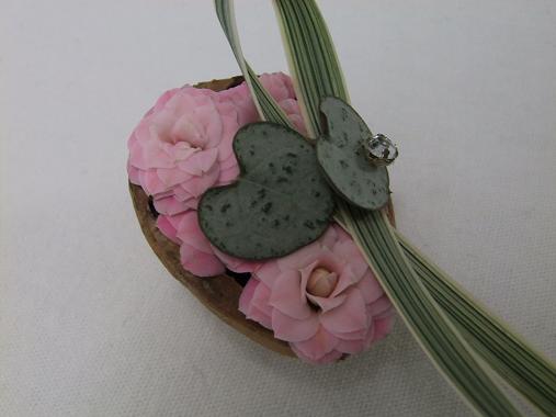 Kalanchoe