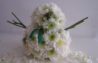 Snowmums