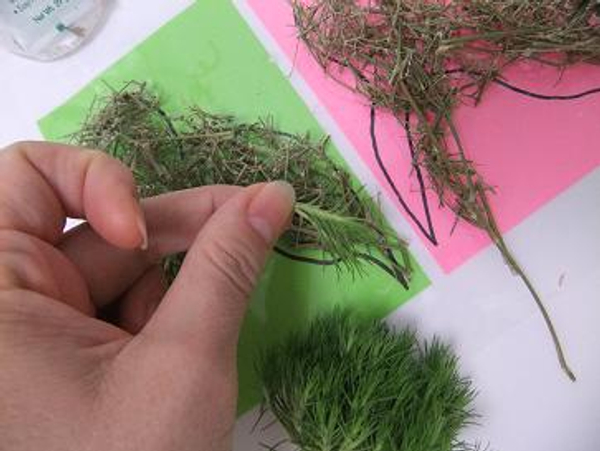 Glue snippets of green trick carnation to the twigs