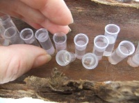Fill hollow bark with test tubes