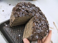 Bark Veneer Cardboard Floral Cake 