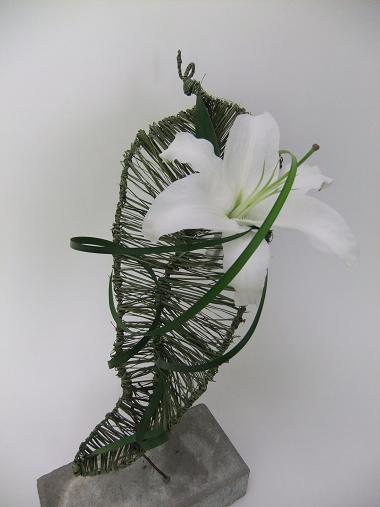 Natural armatures Natural armatures