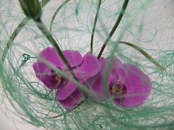 Place the orchids low to be veiled by the sisal