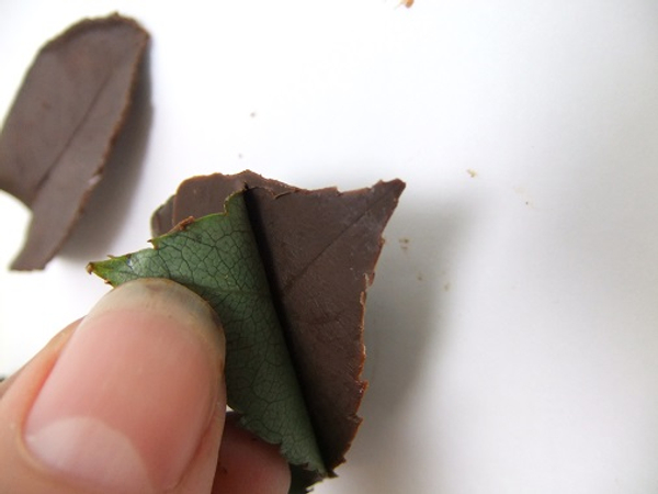 Gently peel the leaf way to reveal the chocolate