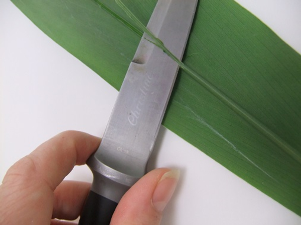 Dont cut through the leaf only shave the hard bit away