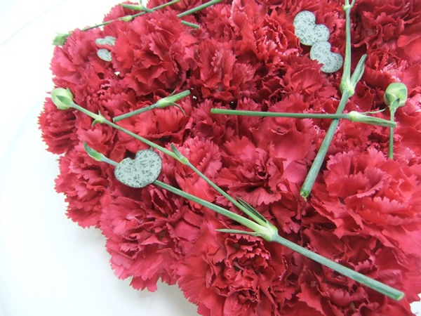 Carnations and rosary vine.