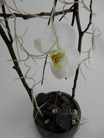 Wire a twig swing for the Phalaenopsis orchid Wire a twig swing for the Phalaenopsis orchid