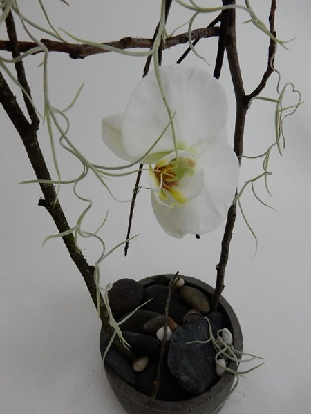 Wire a twig swing for the Phalaenopsis orchid