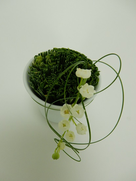 Lily of the valley and grass