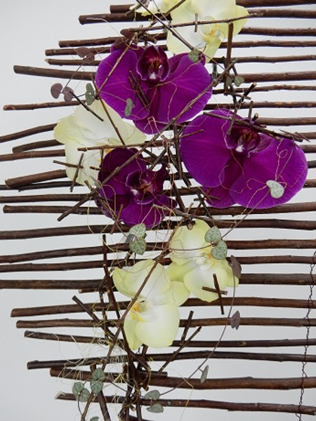 Orchids and rosary vine
