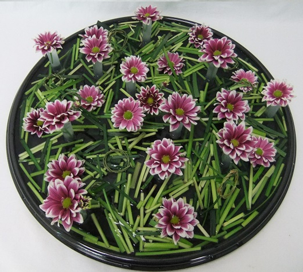 Chrysanthemum and floating grass snippets