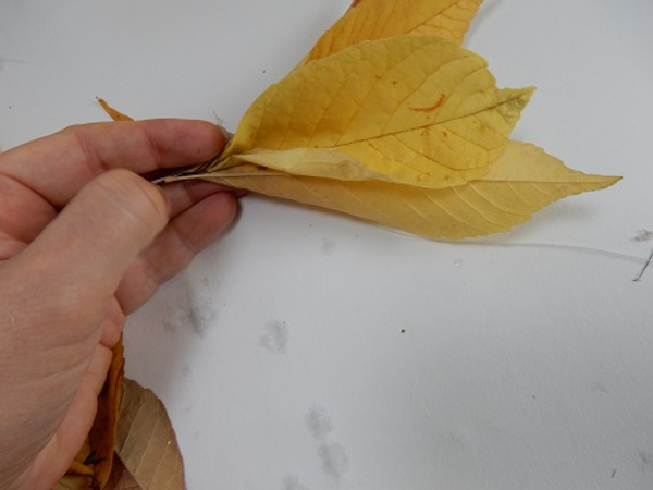 Gather fall leaves stem side pointing into your hand