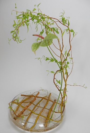 Weaving a willow armature Weaving a willow armature