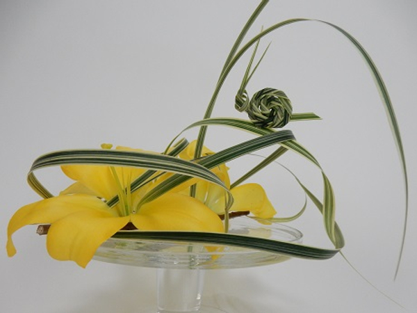 Lilies and grass snail