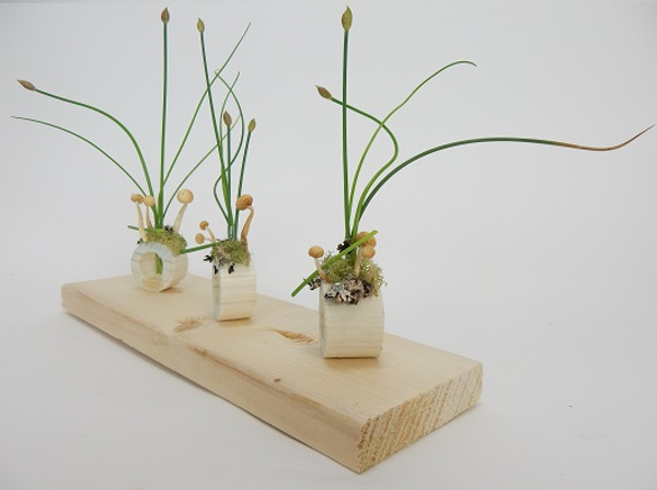 Display delicate flowering stems