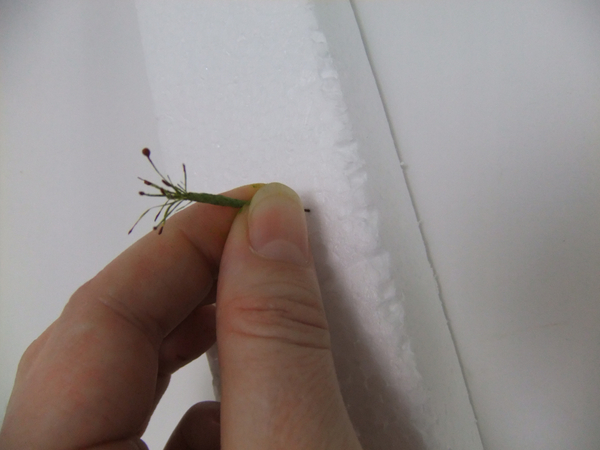 Pin the stamens into Polystyrene to make it stand upright