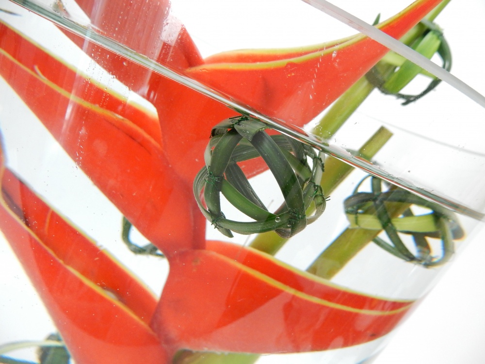 Tutorials grass bubbles to reposition under water