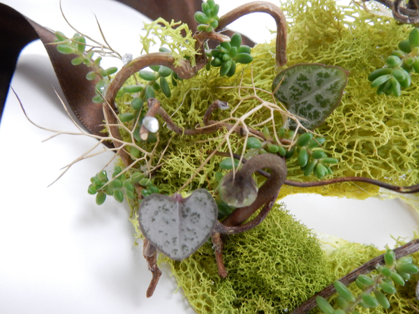Succulents and moss mask.