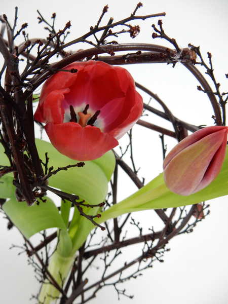Red Valentine's tulips