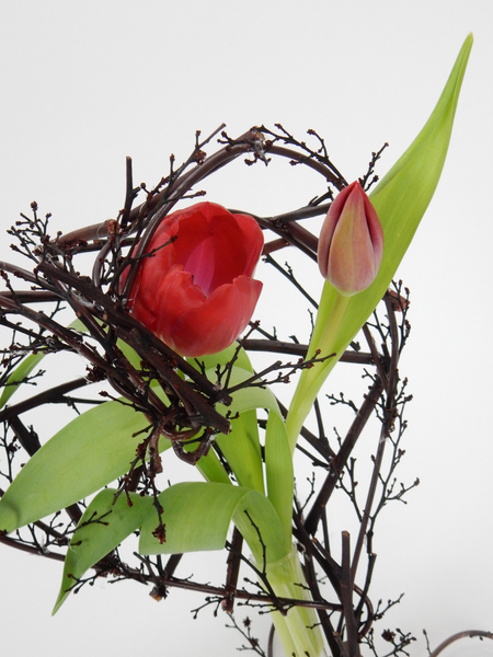 Twig and wire tulip heart