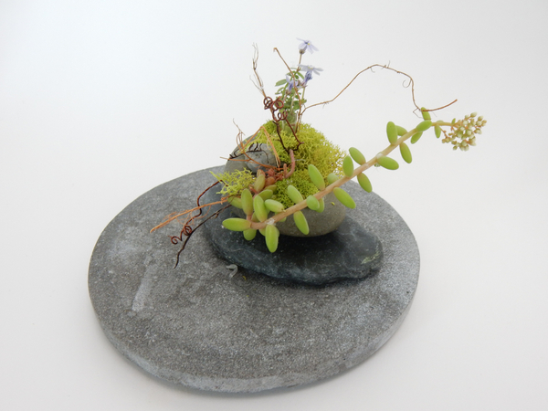 and a scrap of a left over succulent and moss