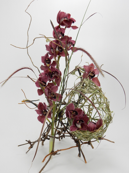 Orchids nestled in a nest