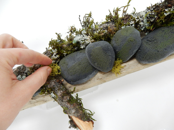 Place the pebbles on the driftwood and add reindeer moss to fill in the gaps between the pebbles