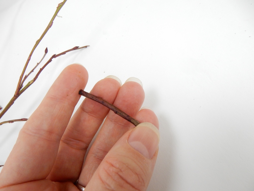 Tutorials Tconnect twigs to shadow a design