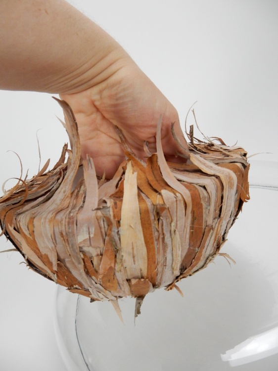 Tutorials Potted bark pod for a flowering plant