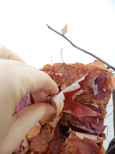 Glue in leaves to cover any gaps where the cardboard is visible