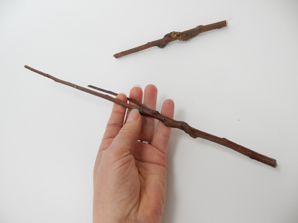 Search for your unique wand stick or twig.  Anything with knots or interesting side branches. 