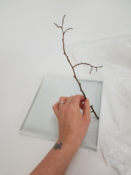 Measure a winter twig to calculate how high you want your design