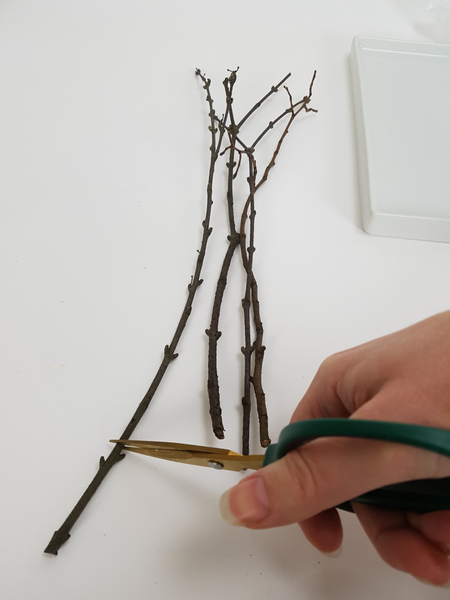 Place the twigs on a working surface