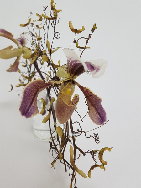 Lady Slipper orchids used in a floral design
