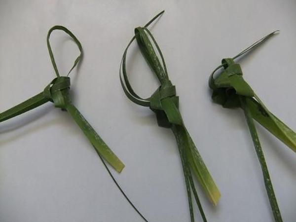Butterfly Feelers Butterfly Feelers