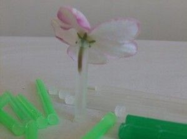 Drinking straw test tube with flower Drinking straw test tube with flower