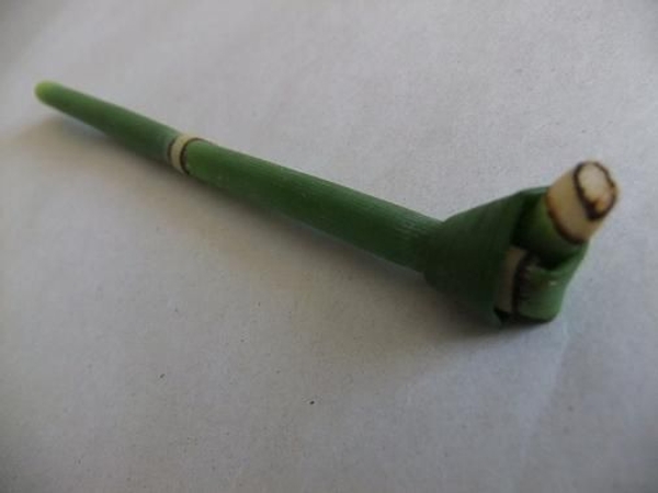 Equisetum knot Equisetum knot