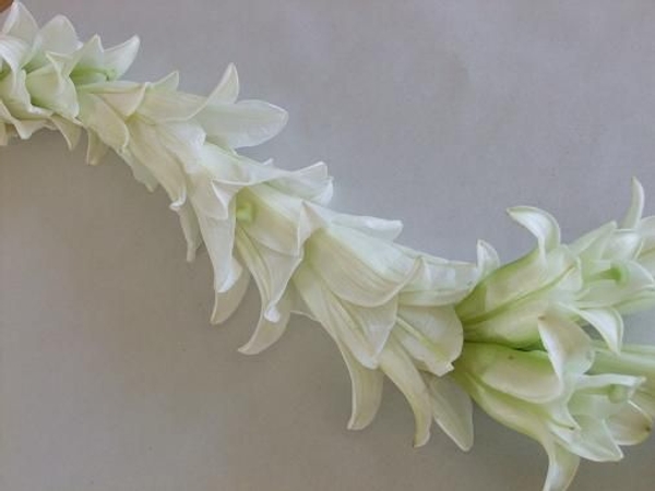 Garland Garland