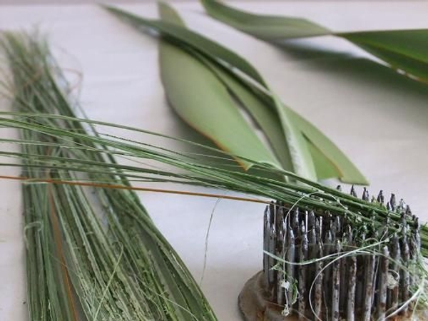 How to rip Flax How to rip Flax