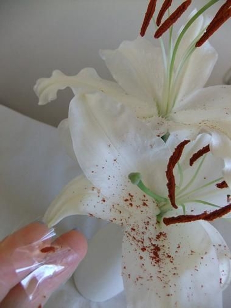 Lily Pollen 2 Lily Pollen 2