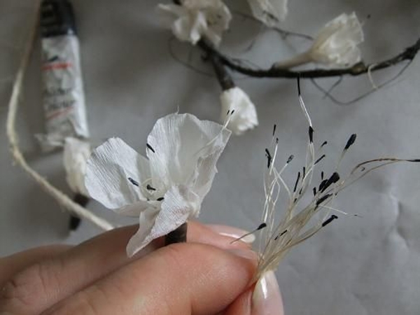 Blossom stamens Blossom stamens