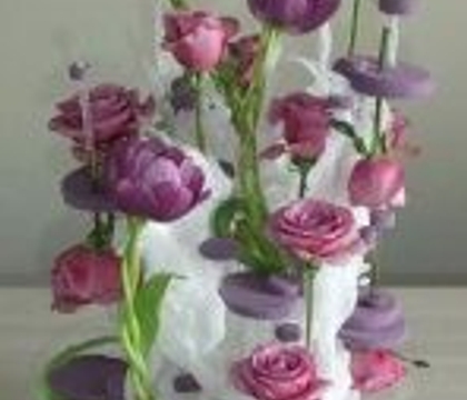 I've got my head in the clouds I've got my head in the clouds