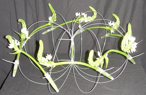 Wire Spiral Wire Spiral