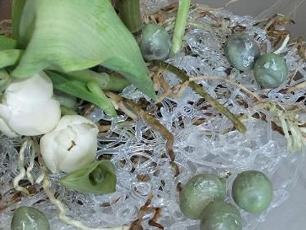 Glue nest and wax grapes Glue nest and wax grapes