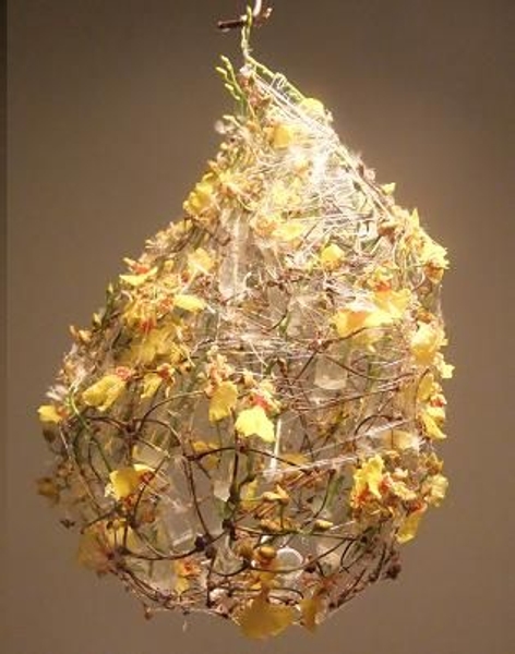 Glue silk on the cherry twig cocoon Glue silk on the cherry twig cocoon