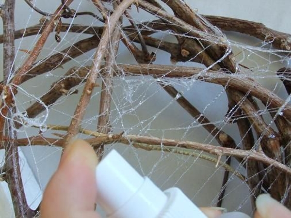Spider web- rain drops Spider web- rain drops