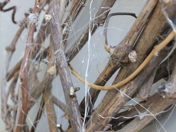 Spider web- on wood Spider web- on wood