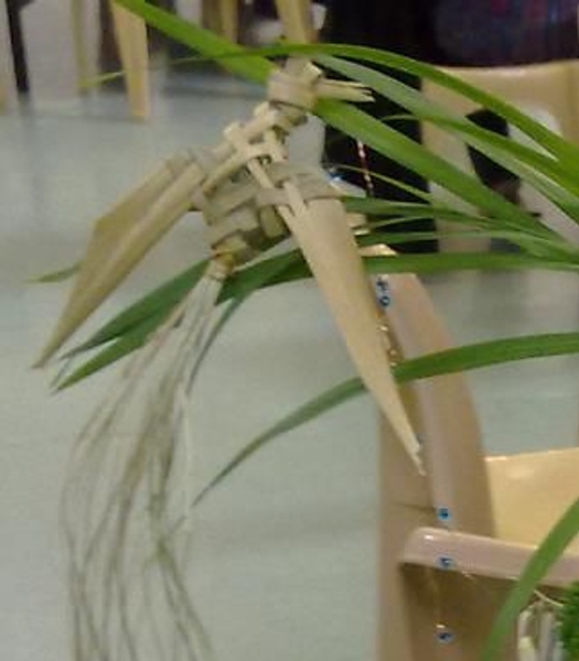 Palm bird Palm bird