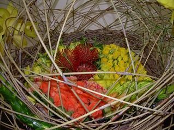 Floral Art competition Veiled Sunshine Floral Art competition Veiled Sunshine